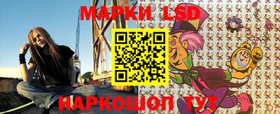 амф Владимир